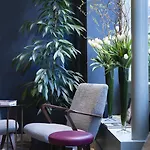 Maison Breguet